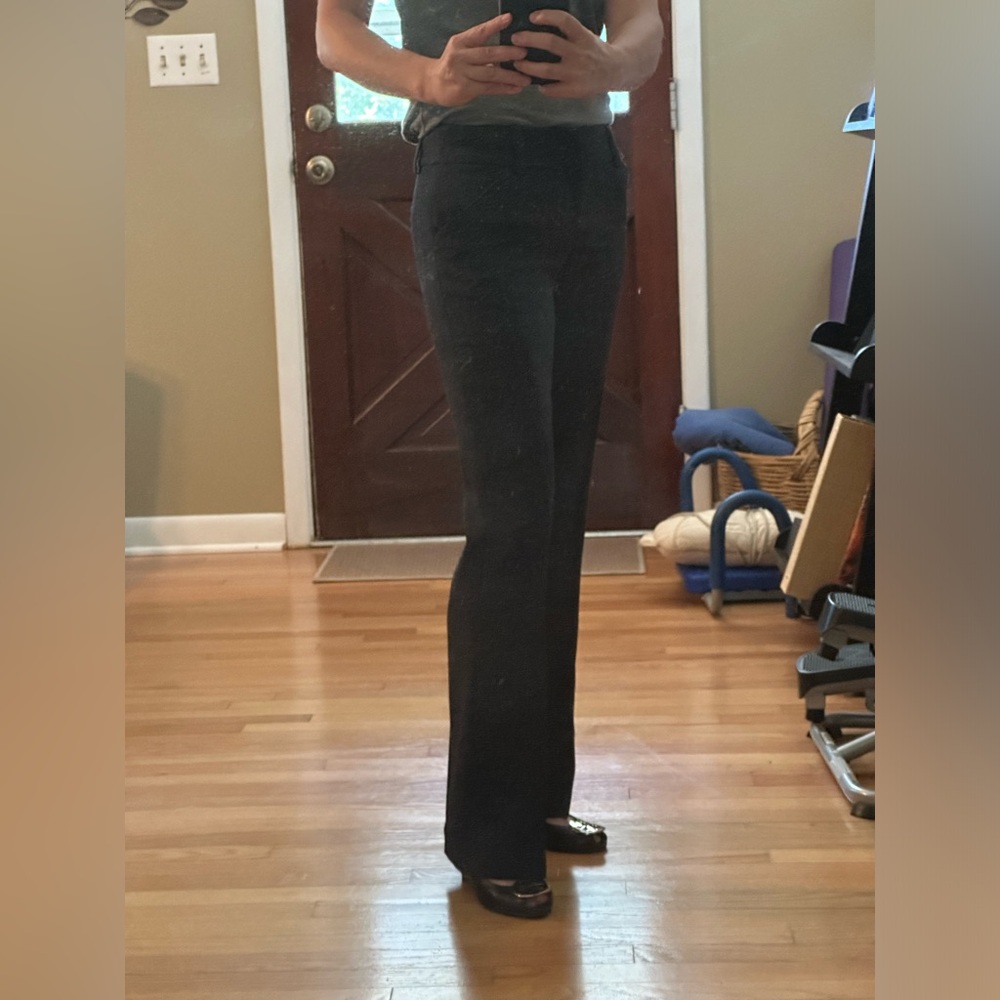 Antonio Melanie Navy Blue Straight Leg Pants